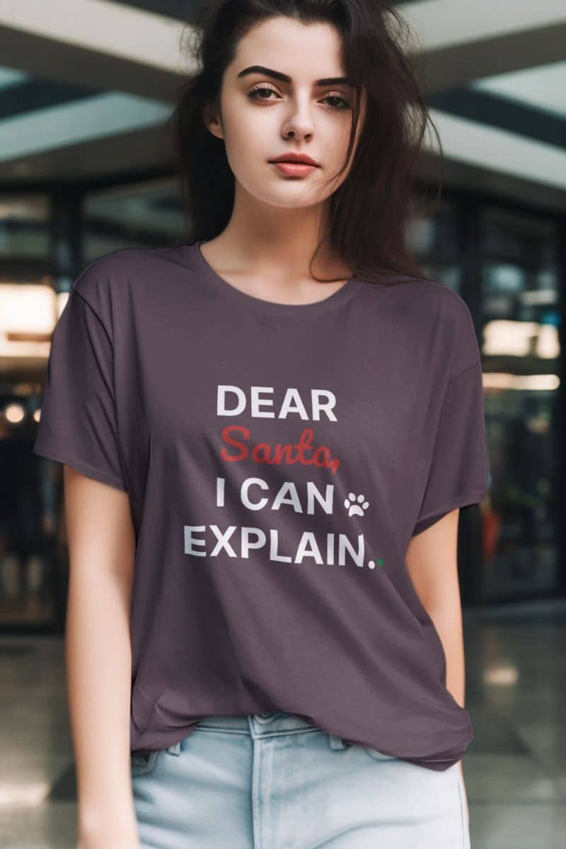 Christmas gift shirt for women with a person wearing a t-shirt with 'Dear Santa, I can explain' text in an indoor setting.