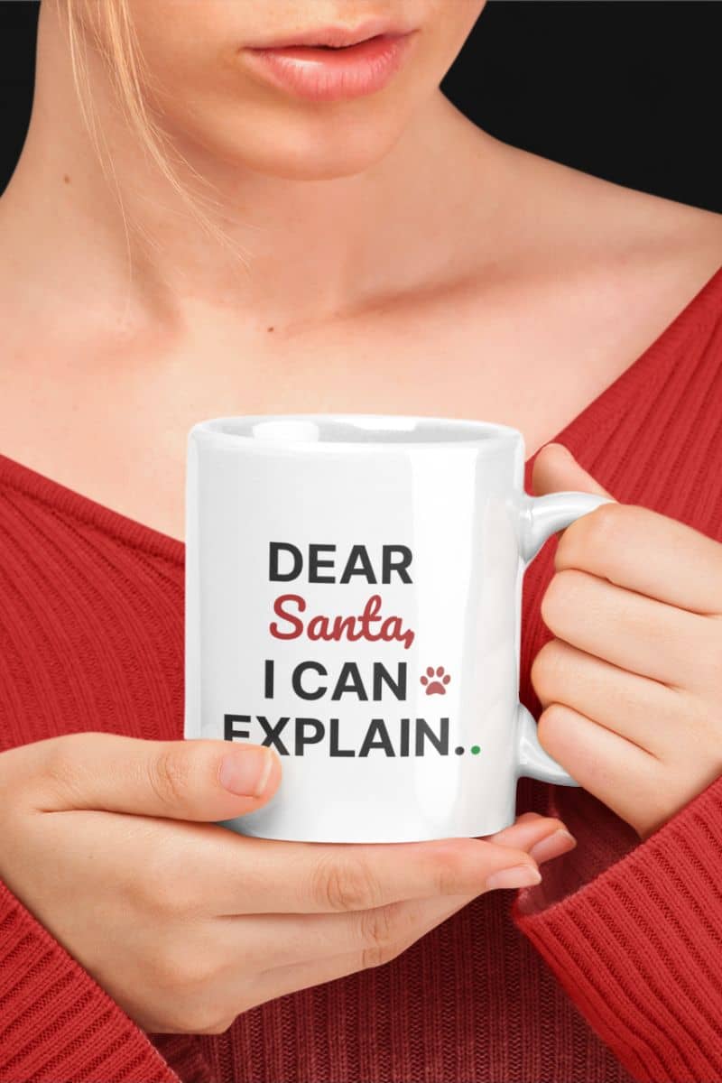 Funny holiday coffee mug with a person holding a white mug with text 'Dear Santa, I can explain.'