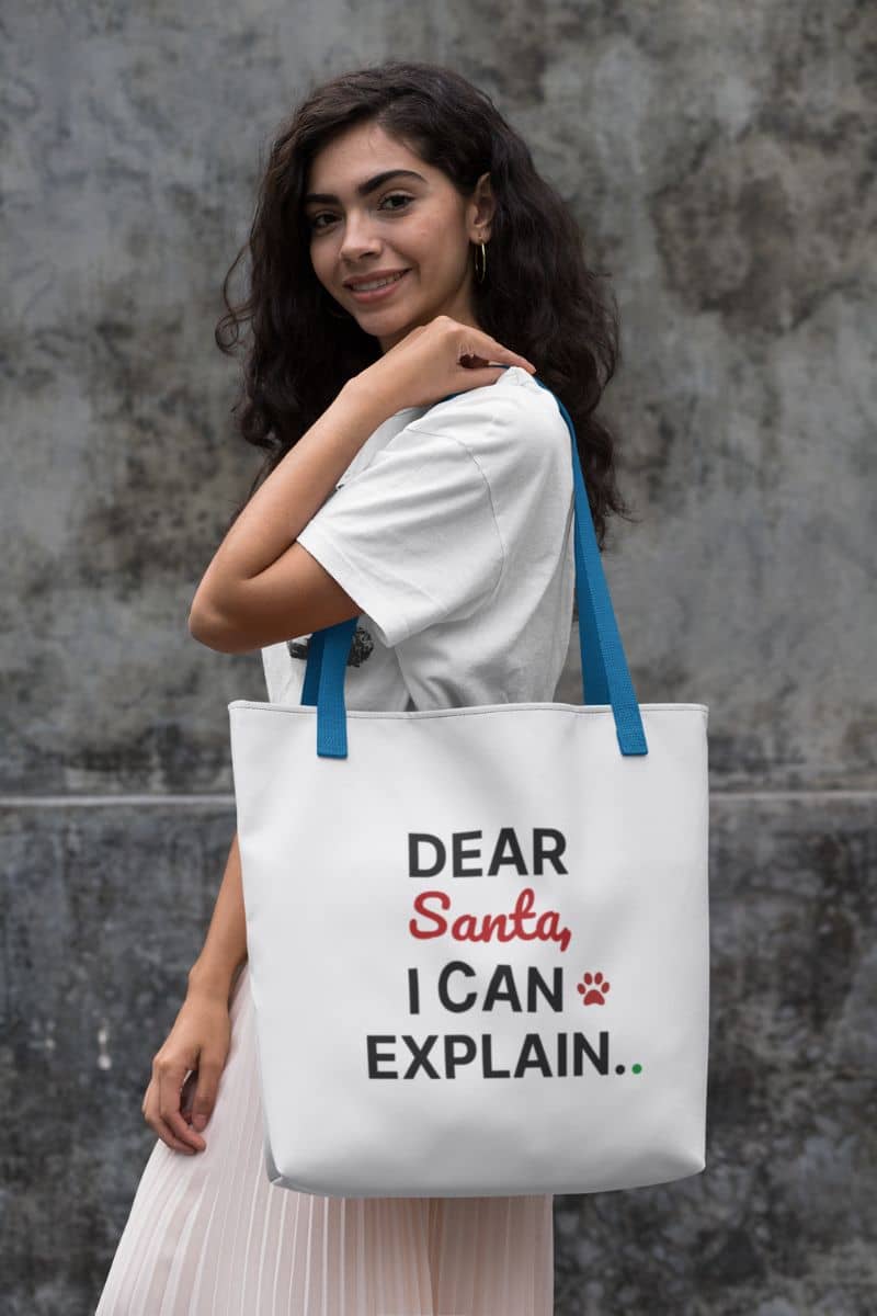 Holiday shopper bag with a woman holding a tote bag with text 'Dear Santa, I can explain..' against a textured wall.