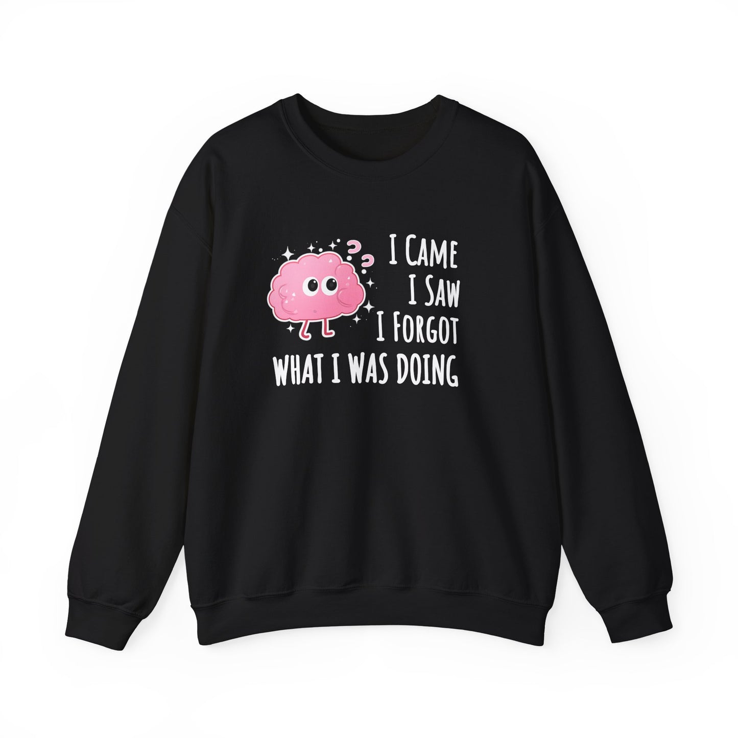 Black sweatshirt with a pink brain graphic and text 'I came, I saw, I forgot what I was doing' on a white background