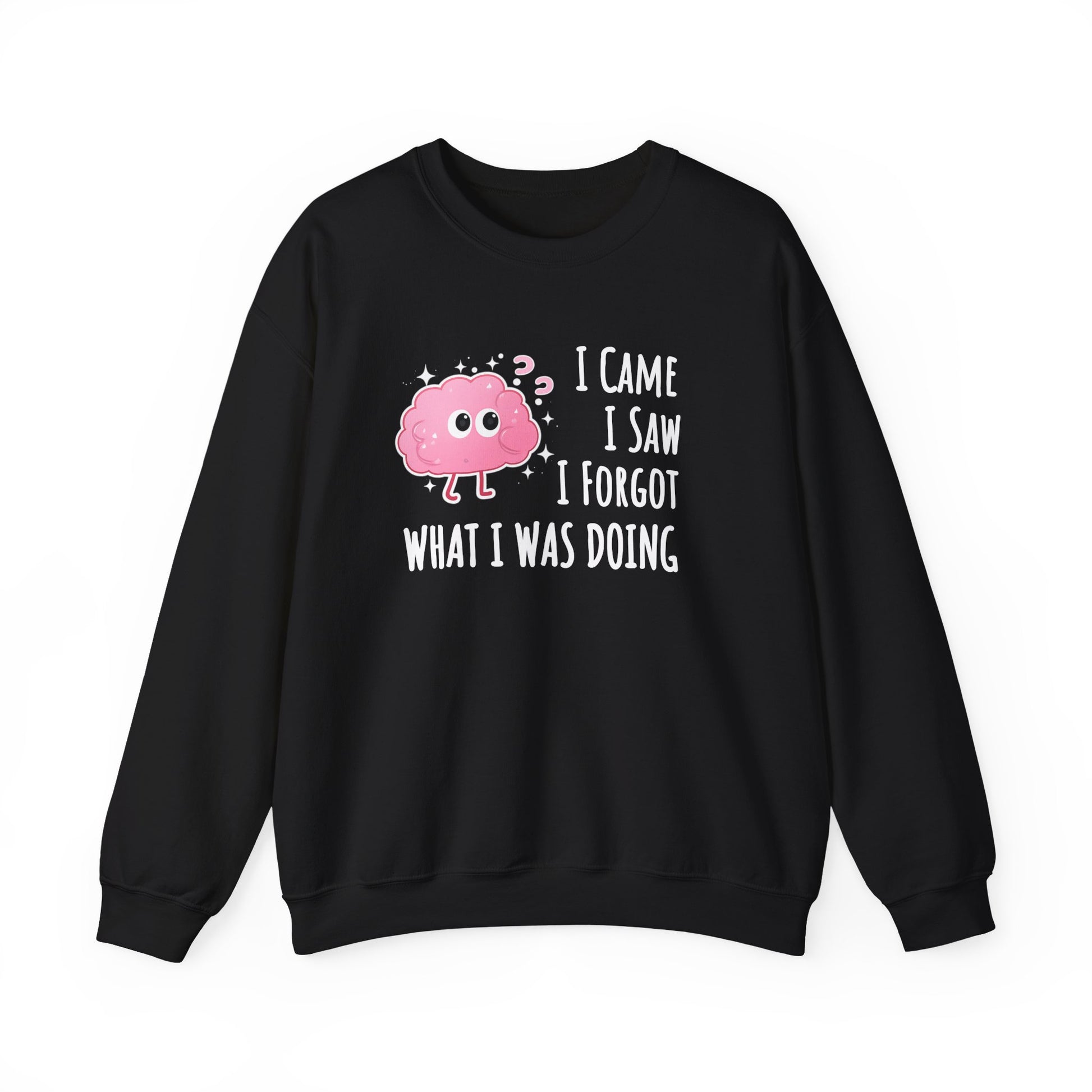Black sweatshirt with a pink brain graphic and text 'I came, I saw, I forgot what I was doing' on a white background