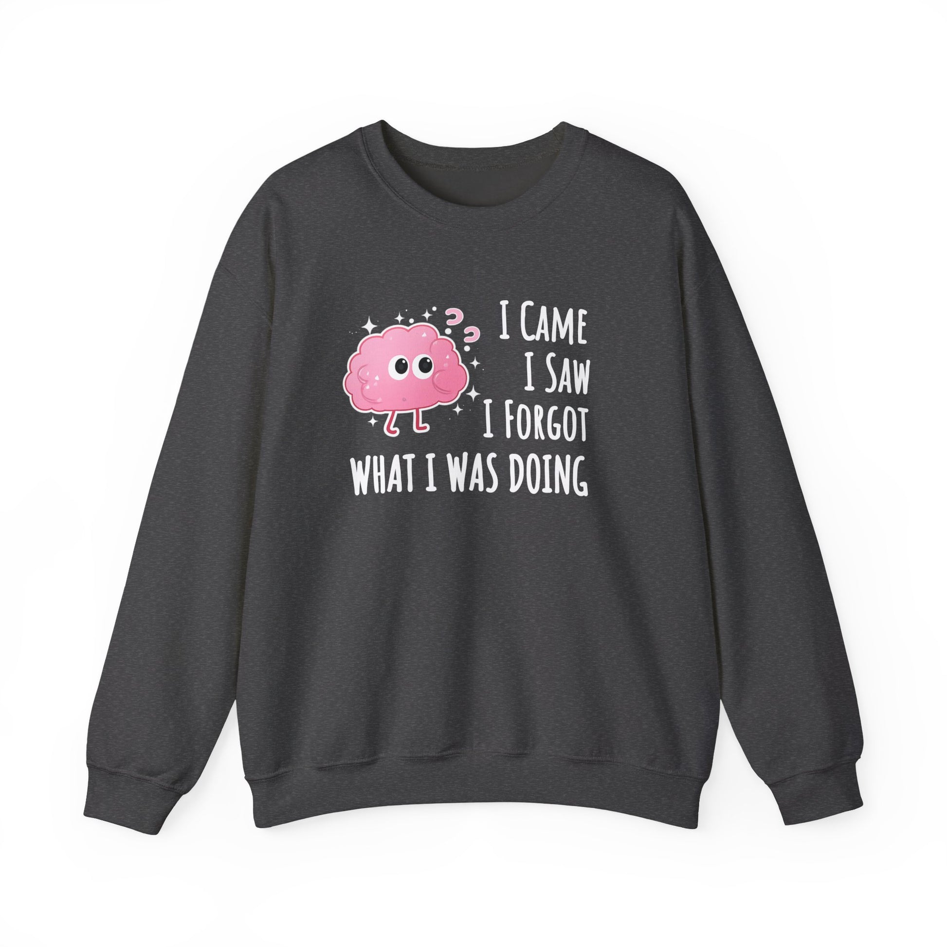 Dark gray sweatshirt with a pink brain graphic and text 'I came, I saw, I forgot what I was doing' on a white background