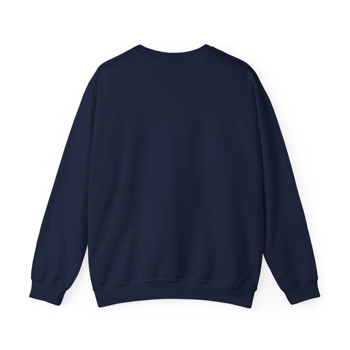 Teacher Sweatshirt – Tiny Human Big Feelings Pullover