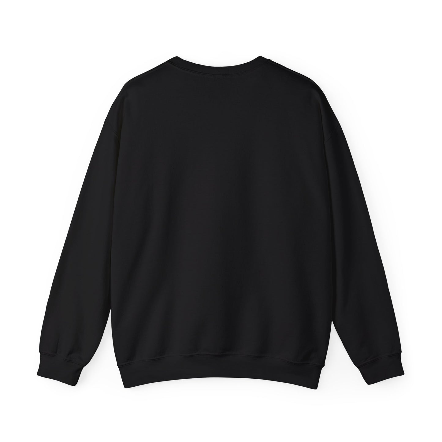 Teacher Sweatshirt – Tiny Human Big Feelings Pullover