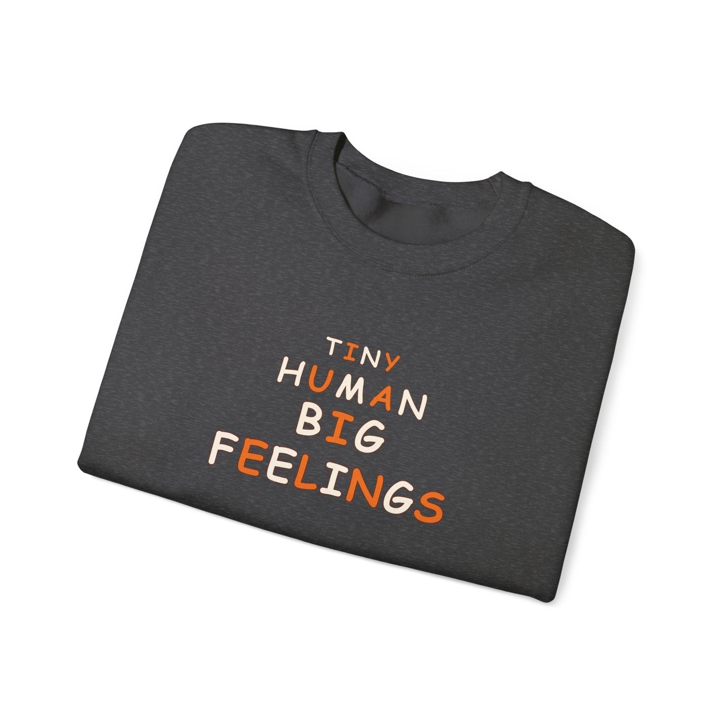 Teacher Sweatshirt – Tiny Human Big Feelings Pullover