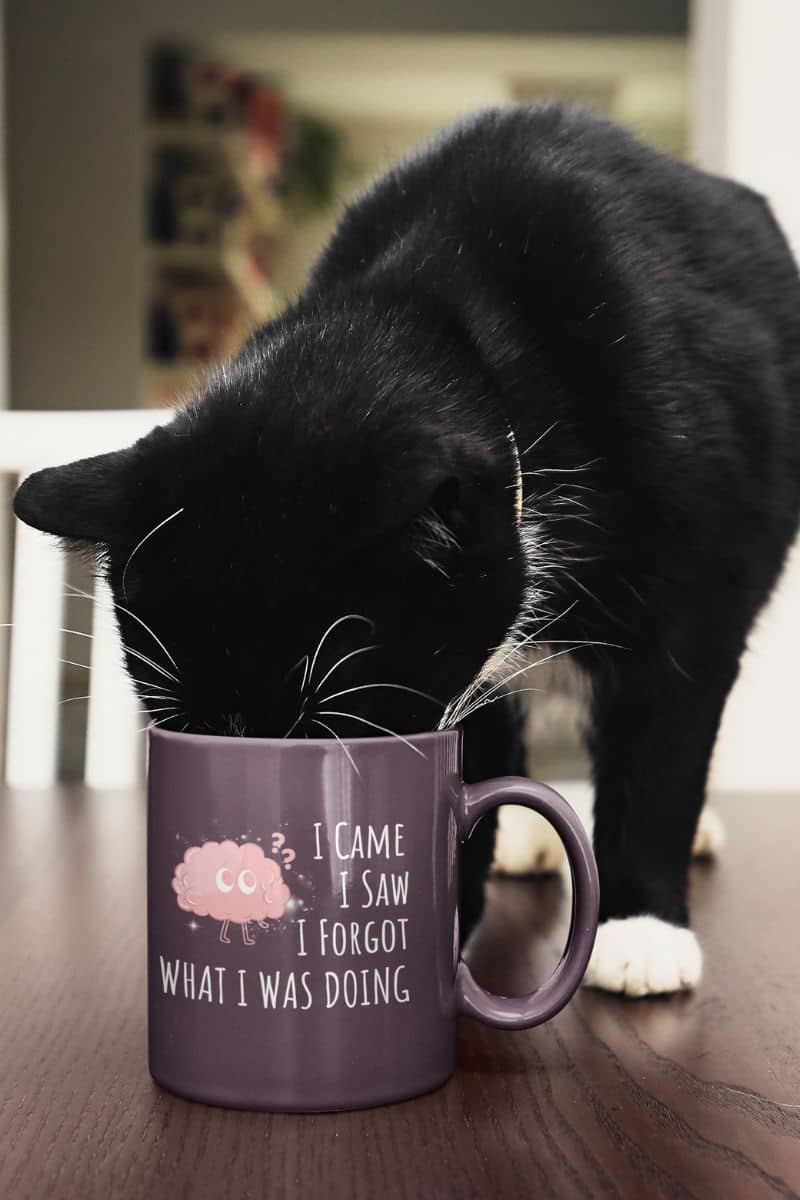Funny coffee mug with a black cat drinking water from a cup