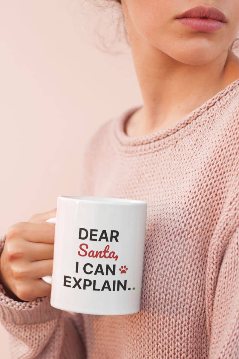 Holiday office mug with a person holding a mug with 'Dear Santa, I can explain' text
